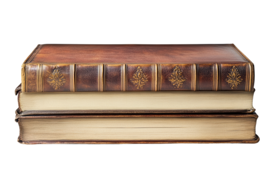 Close-up of aged leather book spines
