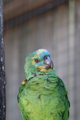 Zoo