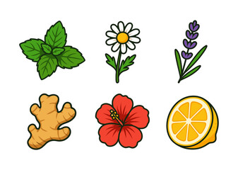 Fresh herbal icons featuring mint, lavender, ginger, chamomile, hibiscus, and lemon on white background