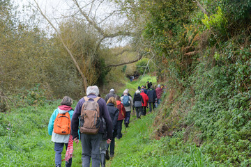 Obraz premium groupe de randonneurs seniors en Bretagne