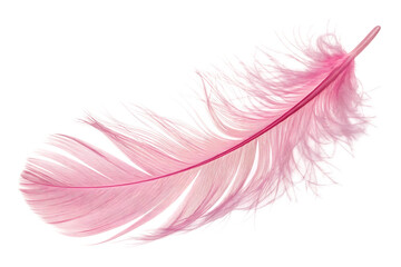 Delicate pink feather isolated on transparent background