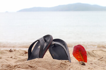 Sandy beach scene with leaf-shaped sandals, soft footprints, gentle sea view in background, warm natural light, peaceful mood.