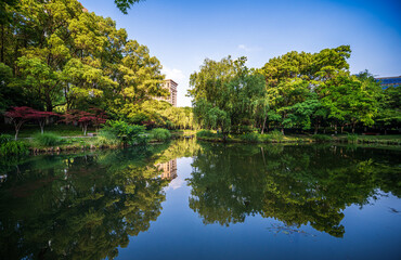 Tranquil Reflections: A Serene Lakeside Landscape Surrounded by Lush Greenery