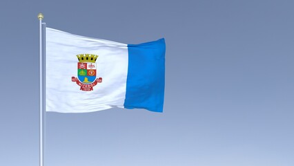 Flag of the municipality of Niter&oacute;i, state of Rio de Janeiro, Brazil - 3D Illustration