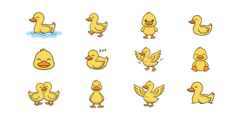 Ducklings Cartoon Collection