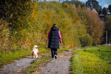 Fototapeta premium Autumn scenes captured from ground level in Małopolska, Poland. People walking along paths, colorful foliage, riverside views and rural landscapes under dramatic skies.