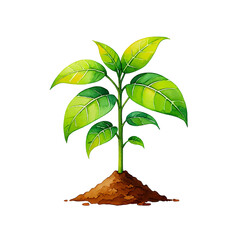 Young green plant growing from soil isolated on transparent background