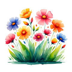 Colorful watercolor flowers isolated on transparent background