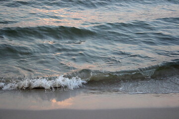 Sea wave washing sandy beach at sunset