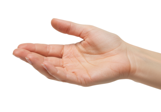Isolated open hand in a receiving or giving gesture, palm facing up, healthy skin tone - Powered by Adobe