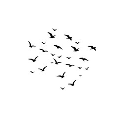 Aerial view of birds in formation, emphasizing teamwork, natural beauty, and the freedom of flight in a vast sky.