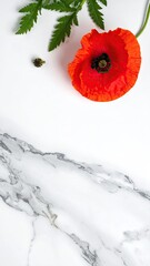 Poppy on marble, leafy sprig. Clean aesthetic, vertical