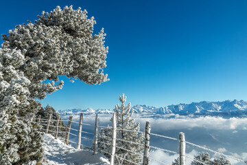 L' hiver en montagne , massif de la Chartreuse , Aulp du Seuil , Col de Marcieu , Isère , France