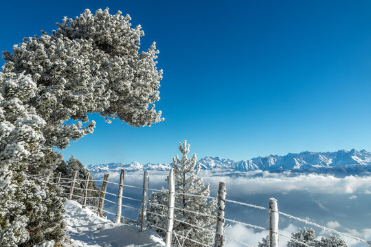 L' hiver en montagne , massif de la Chartreuse , Aulp du Seuil , Col de Marcieu , Is&egrave;re , France
