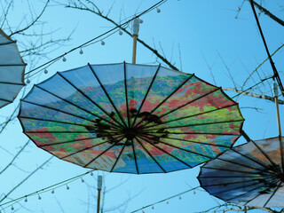 Intricate Pattern of Vibrant Chinese Parasols Against Bright Sky