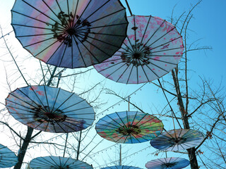 Colorful Chinese Oil-Paper Umbrellas Overhead Street Decoration