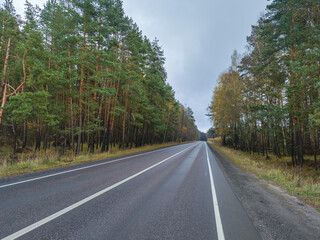 Fototapeta premium Road with trees on both sides and a clear sky
