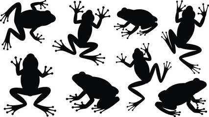 Frog silhouette collection, black frog icons, amphibian poses, jumping frog shapes, nature graphics, vector design elements, biology illustration, animal set