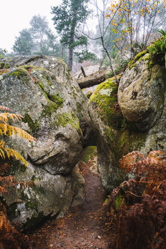 Cave of the White Doe, rocks in the forest