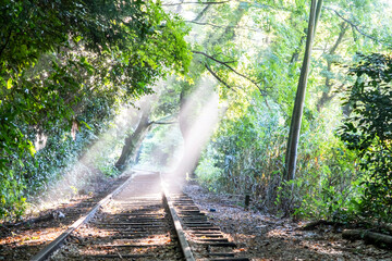廃線跡に光芒が差し込む風景　旧国鉄倉吉線