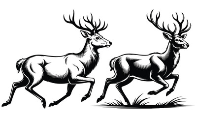 set of deer