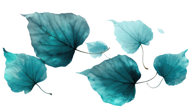 Purple leaf with vibrant seasonal color showing natural texture botanical foliage detail arranged for display isolated on white background