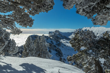L' hiver en montagne , massif de la Chartreuse , Aulp du Seuil , vue sur rochers de Bellefont, Col de Marcieu , Isère , France