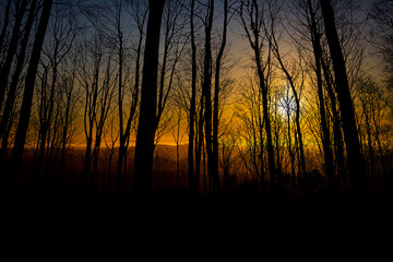 Obraz premium Arid landscape in the Namaqualand region of South Africa