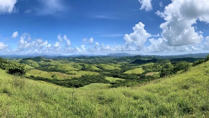 Fototapeta premium Expansive panoramic view of vibrant green rolling hills and dense tropical vegetation under a bright blue sky with white fluffy clouds on a sunny day.