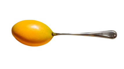 Orange Spoon Hybrid, isolated on transparent background