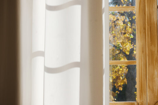 Curtains partly open revealing autumn tree leaves through a wooden window pane