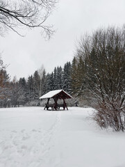 Winter forest landscape in Siberia.