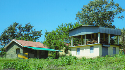 Blue Swimming Pool Pavilion Green Trees Sky Summer Cottage Relaxation