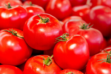 A vegetable store with lots of tomatoes at the market, close-up photo. Large red tomatoes.