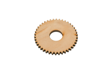 Wooden gear wheel in perspective view is isolated.