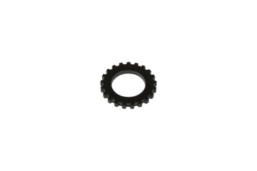Small black gear wheel with fine teeth is isolated.