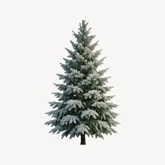 Fototapeta premium Snow-covered evergreen tree illustration.