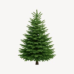 Fototapeta premium Lush evergreen tree illustration.