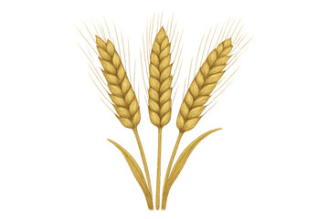 Obraz premium Golden wheat ears growing from a stalk, ripe cereal crop agriculture illustration on transparent background