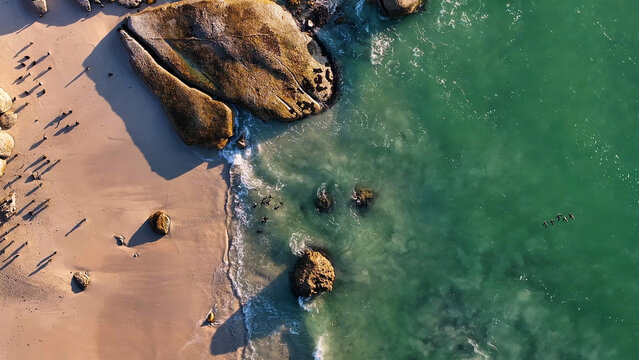 Aerial view of Boulders Beach where the turquoise ocean meets the sandy shore, and penguins gather among the granite boulders, Cape Town, Western Cape, South Africa.