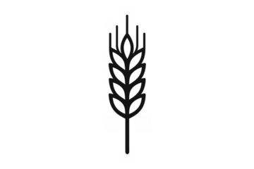 Wheat ear icon representing grain, cereal, and harvest in agriculture. Outline vector on transparent background