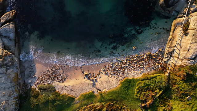Aerial view of golden sands meet turquoise waters, framed by rugged cliffs and vibrant green vegetation, a coastal tapestry of contrasts., Cape Town, Western Cape, South Africa.