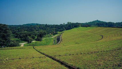 Rolling Green Hills Countryside Landscape Agricultural Fields Rural Nature Scenery