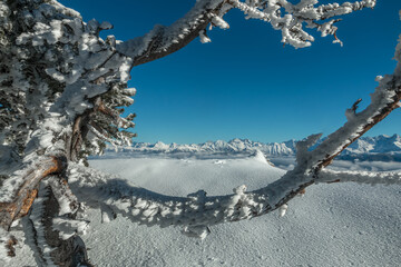 L' hiver en montagne , massif de la Chartreuse , Aulp du Seuil , , vue sur Belledonne, Col de Marcieu , Isère , France