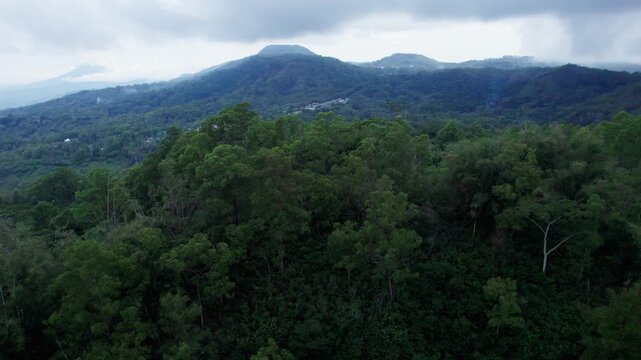 An aerial drone shot flying over a dense green forest canopy in Flores, Indonesia. Mountains, hills, and a distant volcano are visible under a moody sky.