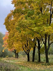 Muszyna jesień, Dolina Popradu.
