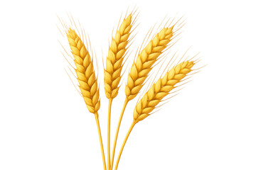Obraz premium Wheat ears creating a natural agriculture scene, symbolizing healthy food, farming, and harvest. Transparent background