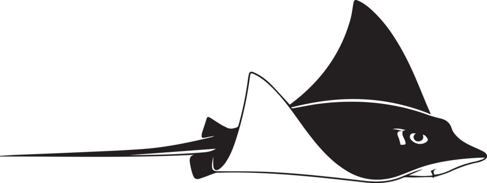 Majestic stingray swimming gracefully underwater ocean marine life wildlife