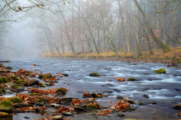 Oconaluftee river shrouded on a foggy morning with trees lining the riverbank and whitewater flowing through rocks, Great Smoky Mountains, North Carolina