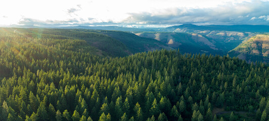 Aerial view of dense green forests cascade down rolling hills towards distant mountains under a sky streaked with sunlight, Mt Hood, Oregon, United States.